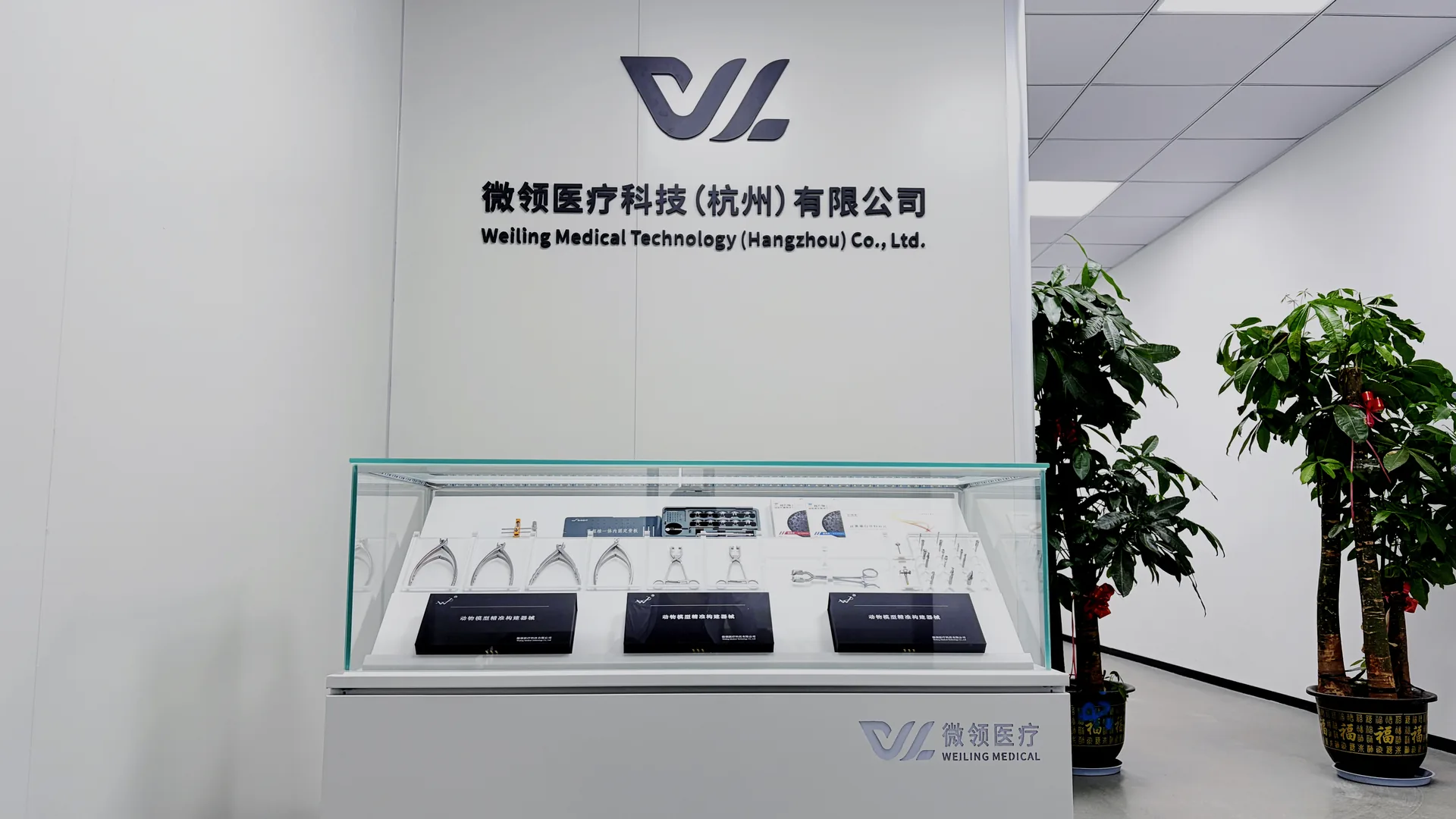 公司环境