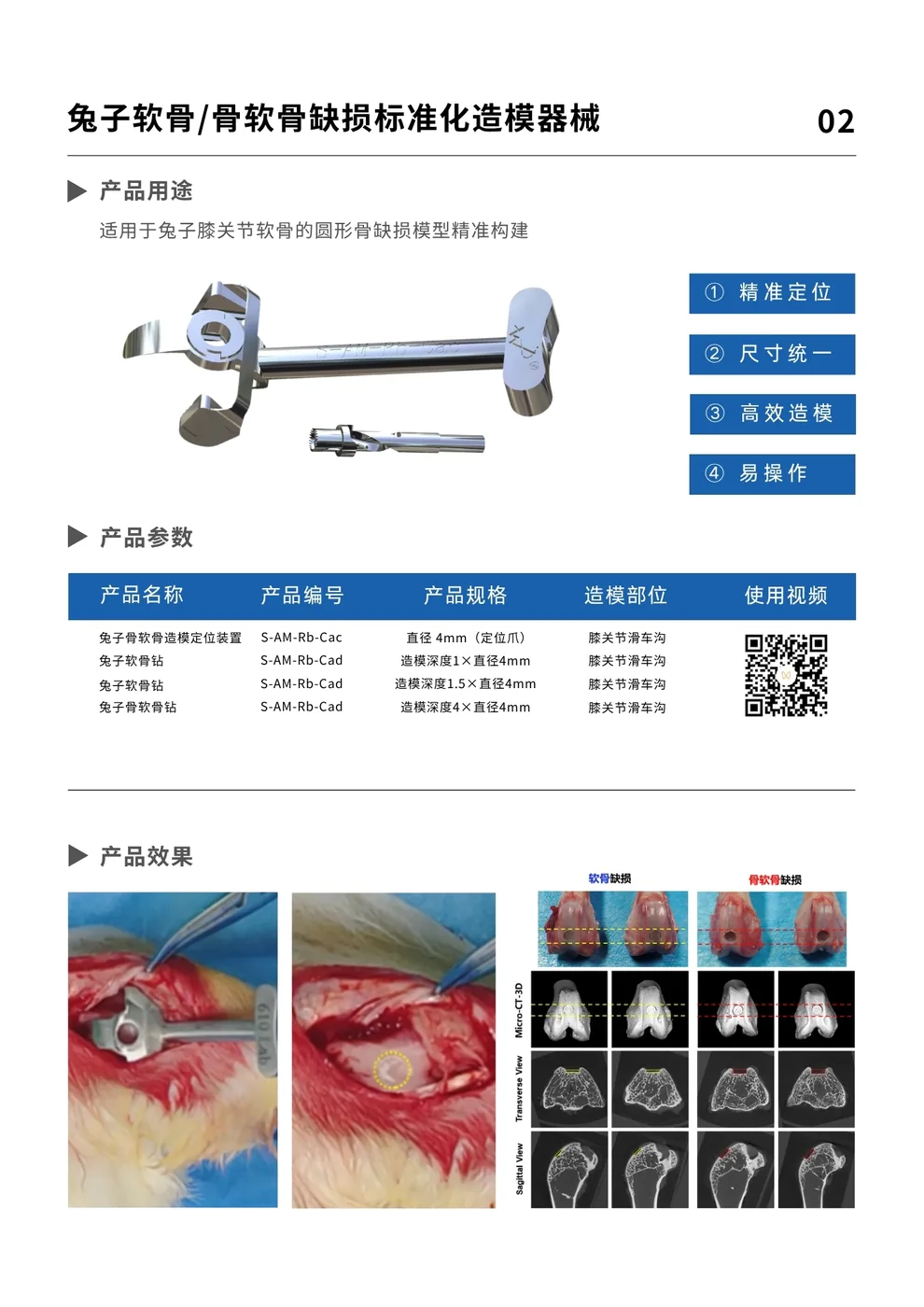 兔膝关节软骨缺损模型完整资料