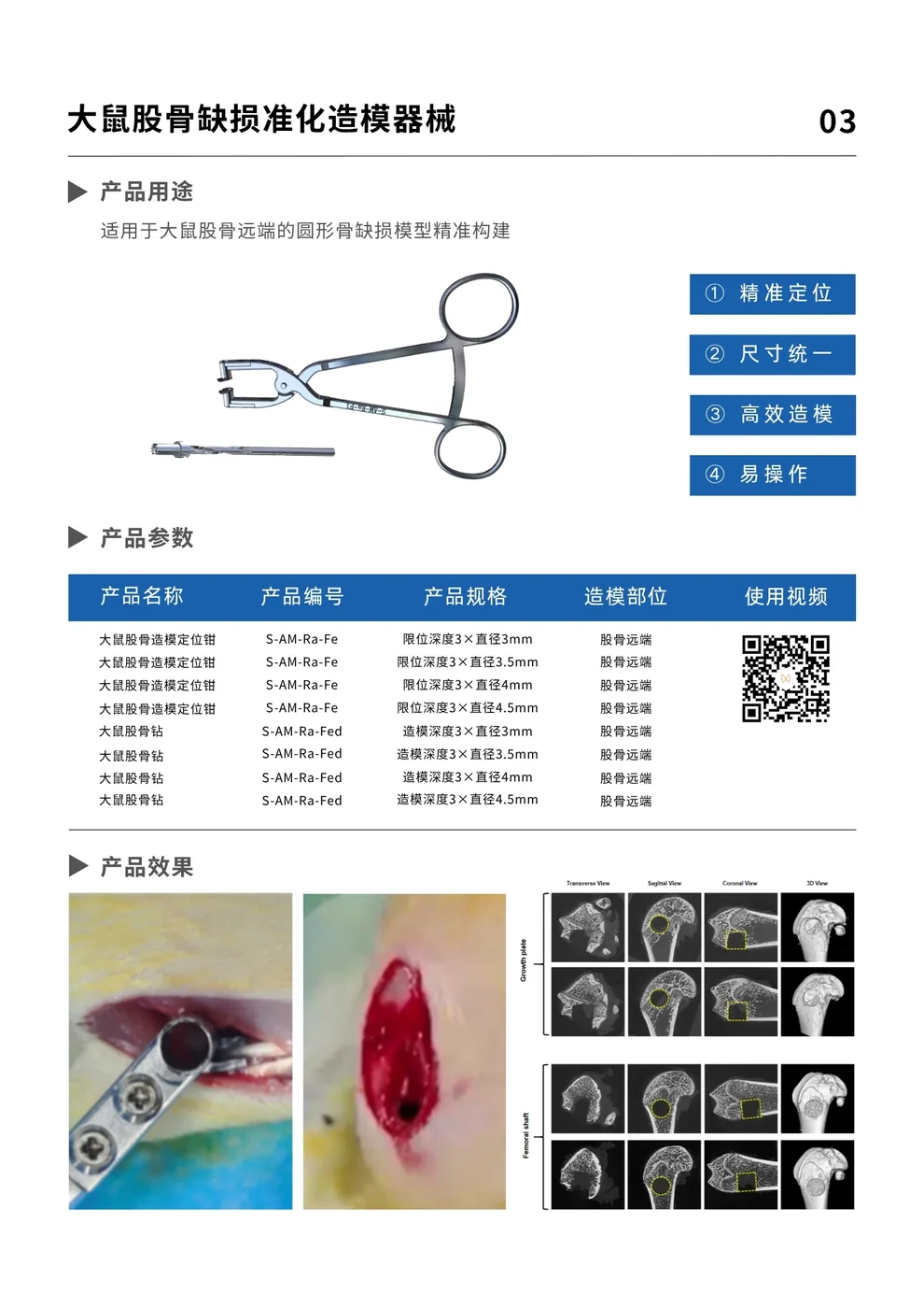 大鼠股骨远端骨缺损模型完整资料